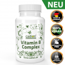 Vitamin B Complex (Dose je 90 Kapseln)